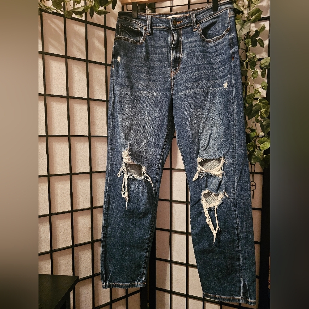 Eunina Tobi Super Highrise Mom Jean Ankle Size 11‎